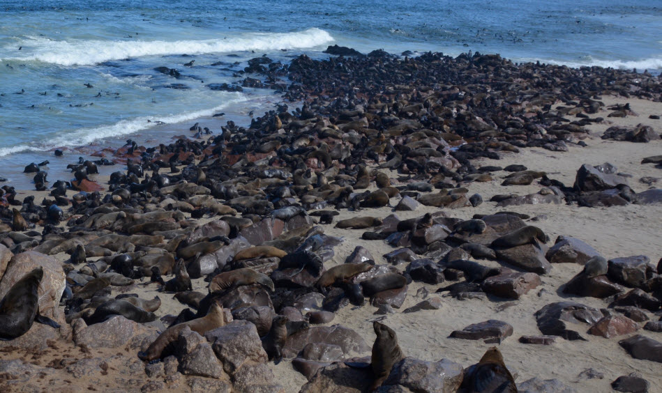 Skeleton Coast National Park, Namibia
